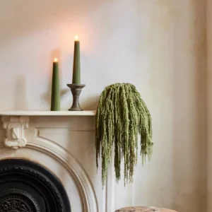 Alternative view of Green Preserved Hanging Amaranthus Flowers - 32-40"