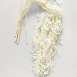 Preserved Hanging Amaranthus Flowers in White - 32-40"