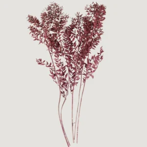 Burgundy Preserved Ruscus Leaves - 1.5 oz Bunch