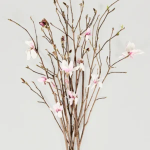 FRESH Magnolia Branches - 33-44