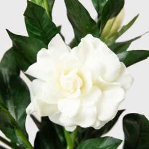 Alternative view of Premium Artificial Gardenia Flower Branch- 19"