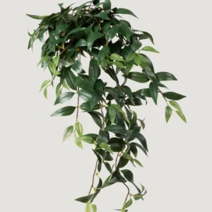 Fake Ruscus Leaf Hanging Plant - 31"