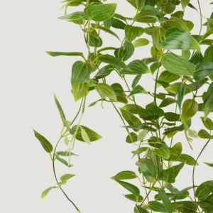Alternative view of Deluxe Artificial Plants Hanging Tradescantia Houseplant- 41"