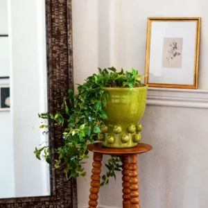 Alternative view of Hanging Deluxe Tradescantia with Green Hobnail Houseplant Design